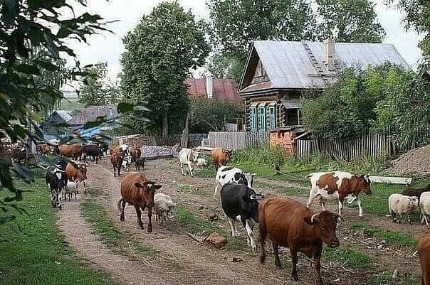 Деревенский вечер.