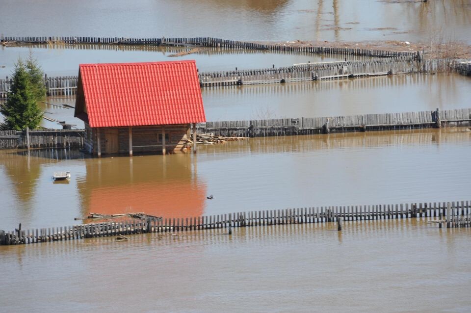    Паводок. Наводнение. Источник: Алексей Кунилов/Media4media