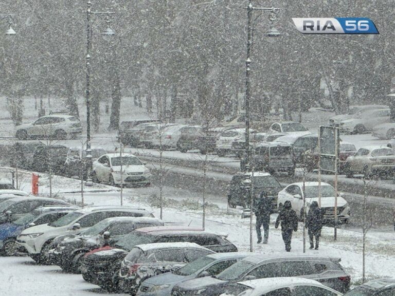   В ночь на 22 февраля в Оренбуржье ожидаются сильный ветер, метель и до -25 градусов Кристина Просвиркина