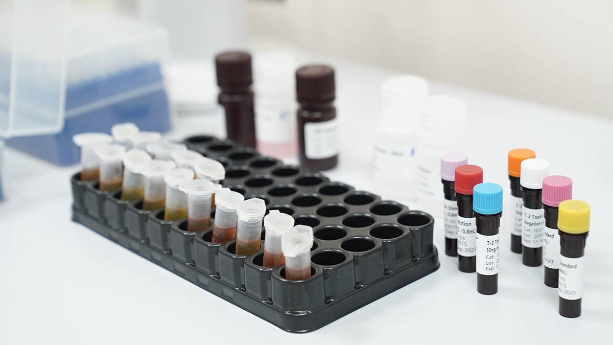    Фото: Пелагия Тихонова / АГН Москва