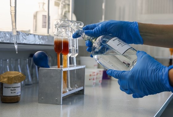    Наталья Шатохина/NEWS.ru