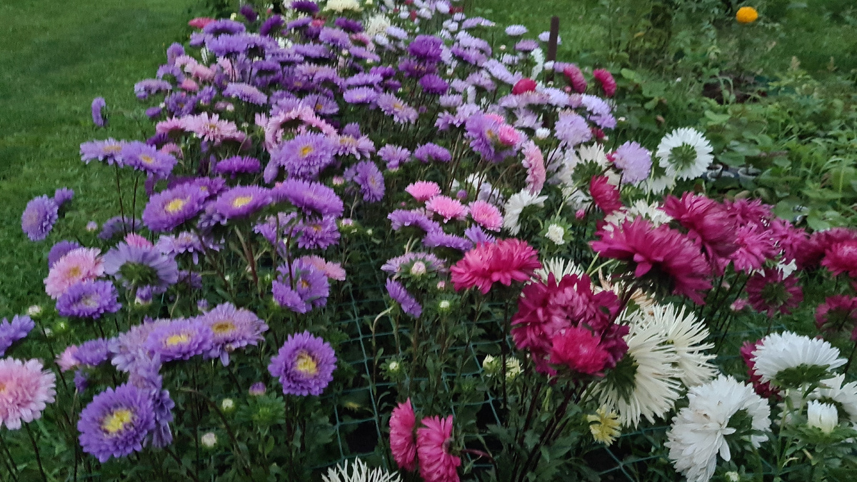 фото из личного архива. 