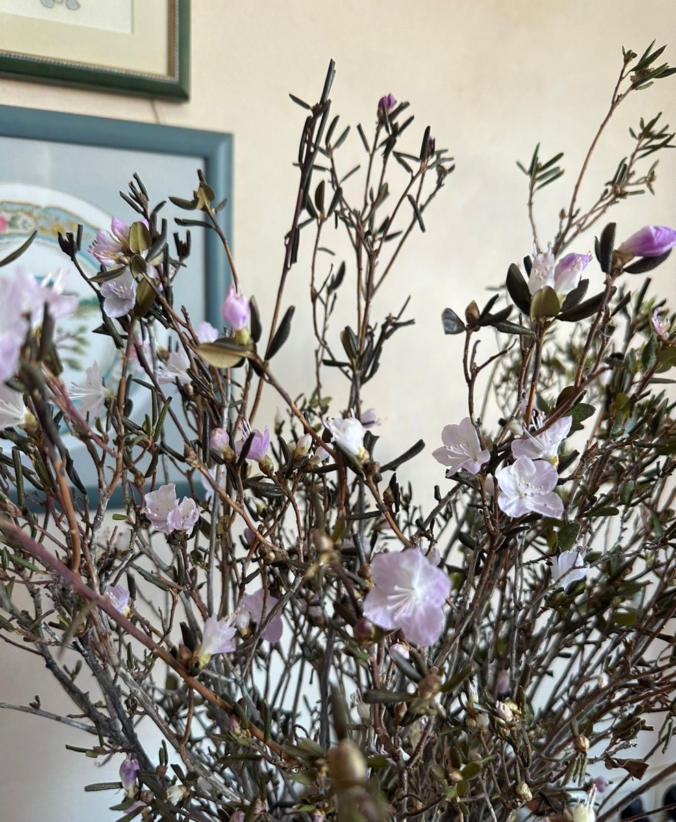 Фото Маргариты Борисовой.