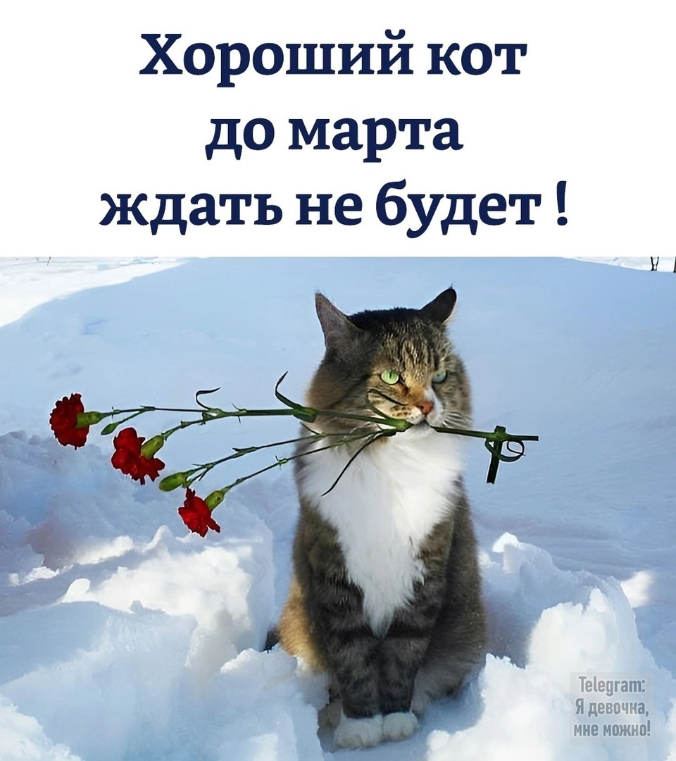 иллюстрация из яндекс картинки.