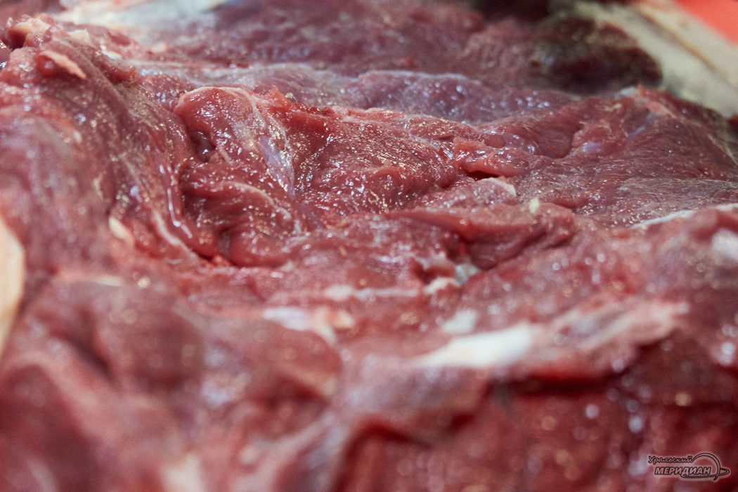    Фото: Лидия Аникина © ИА «Уральский меридиан»