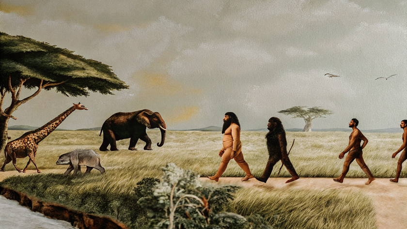 Эволюция – это не просто выживание наиболее приспособленных