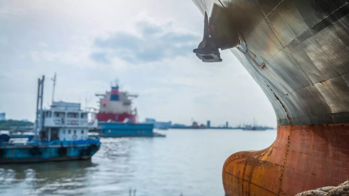     Автор: fanjianhua/freepik.com