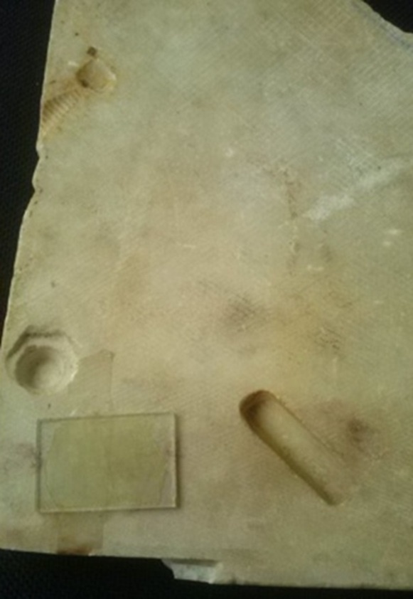 Мраморная плита с "сюрпризом". (Фото: sun9-2.userapi.com).