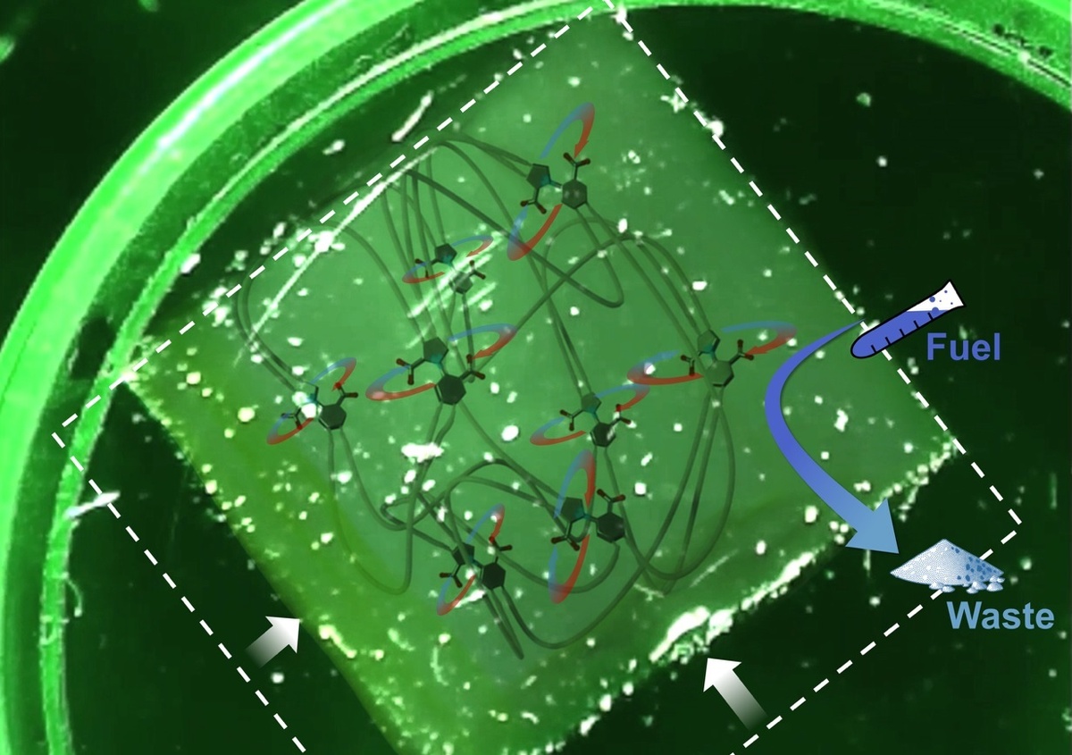 Рисунок: Университет Манчестера