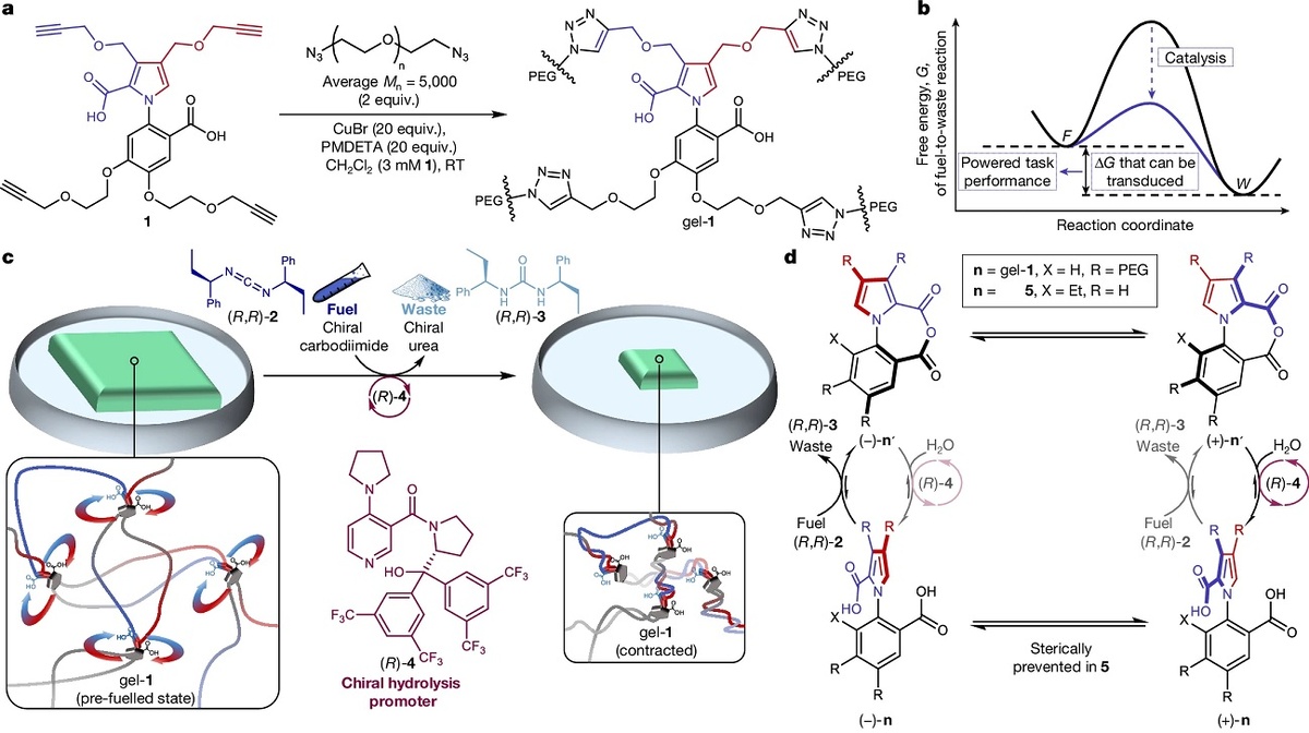 Рисунок: Университет Манчестера