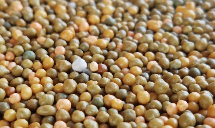    Главные тренды рынка агрохимии озвучили на Форуме будущих технологий