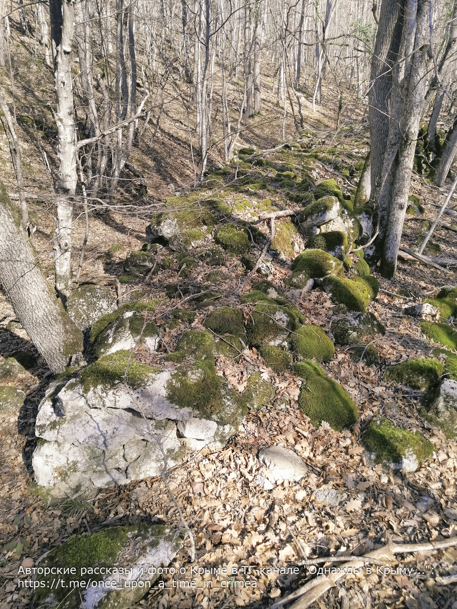 Древние дороги на Юсуповской тропе