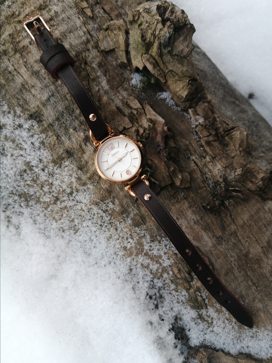 Фотографии автора 