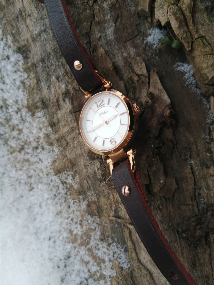 Фотографии автора 