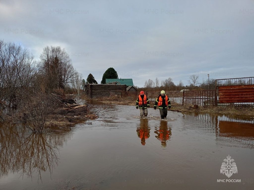    МЧС Костромской области