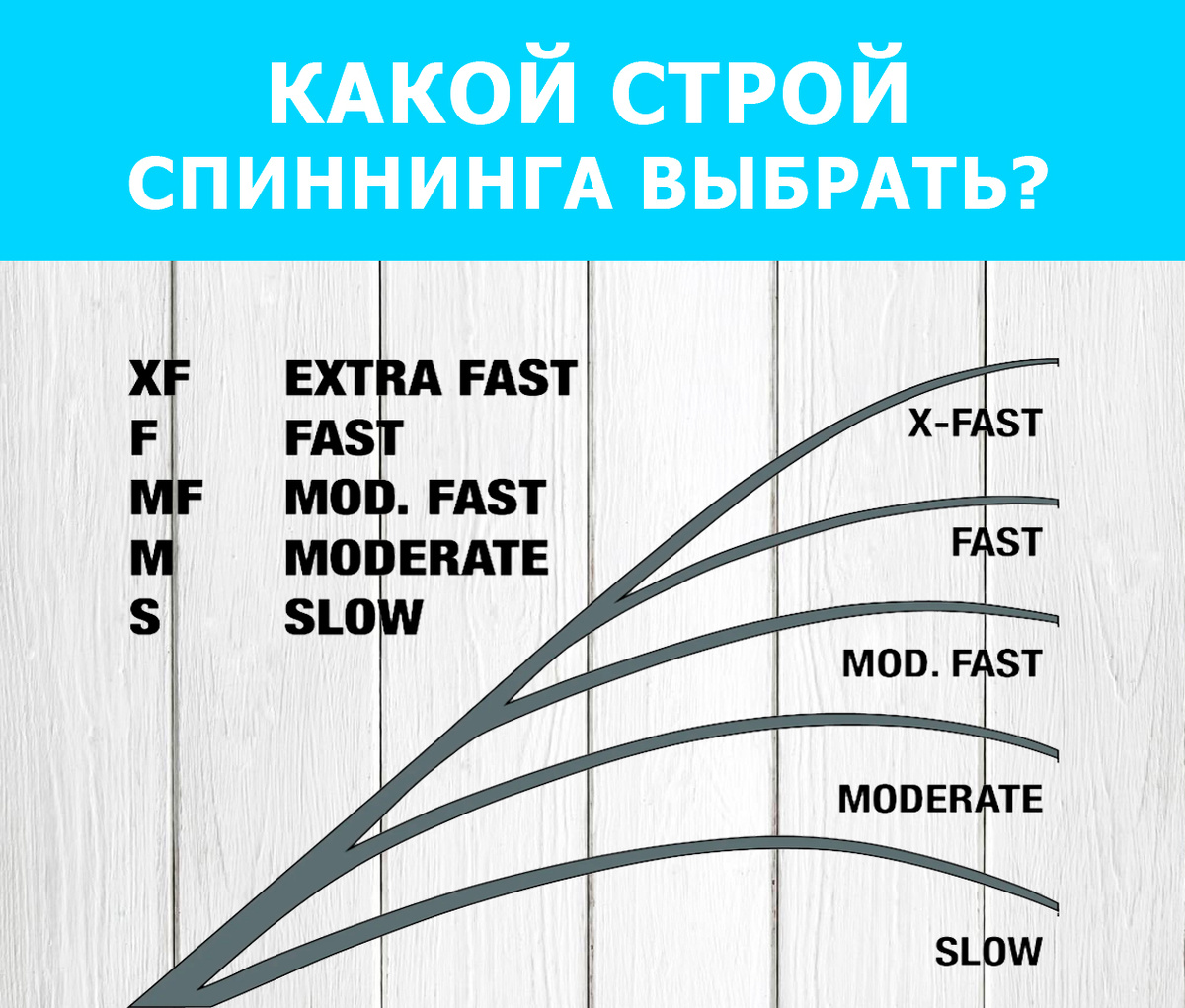 Какой строй спиннинга выбрать?