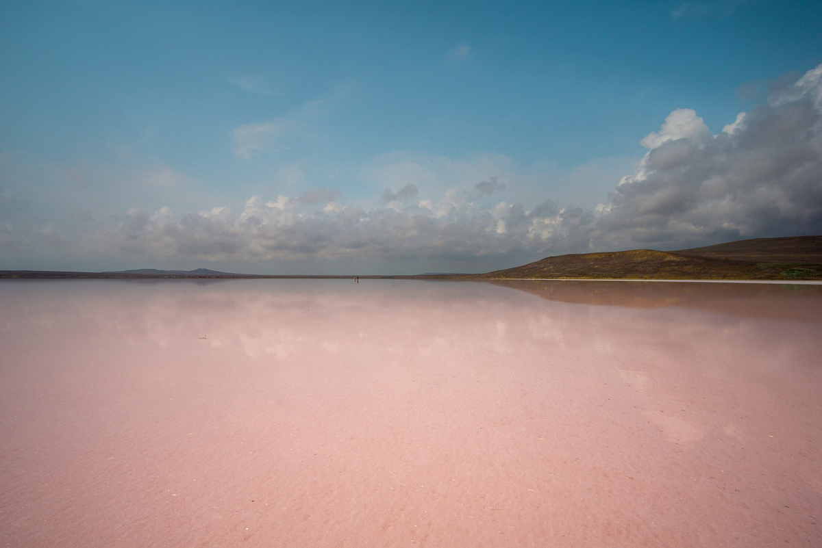 Автор фото: Dendaris / wikimedia