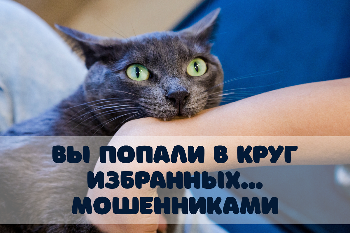 Фото: Madame-Moustache / Shutterstock