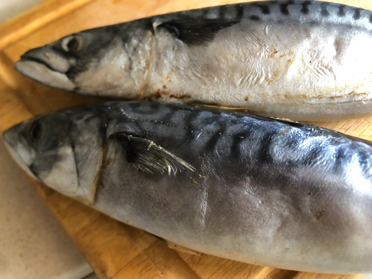 Две небольшие скумбрии. Фотоиллюстрации рецепта автора.