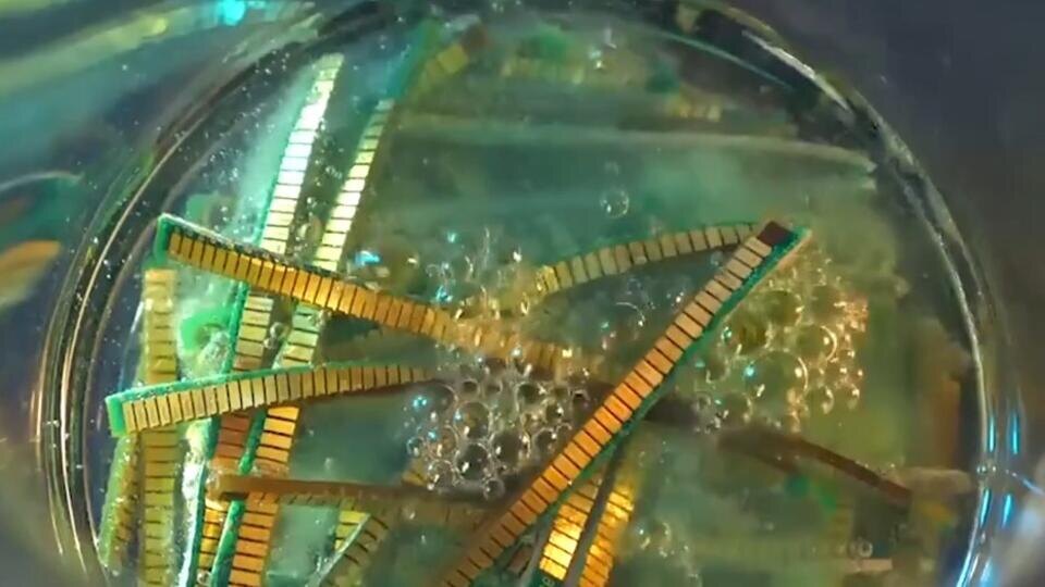 Фото: © Кадр из программы "Как устроен мир", РЕН ТВ