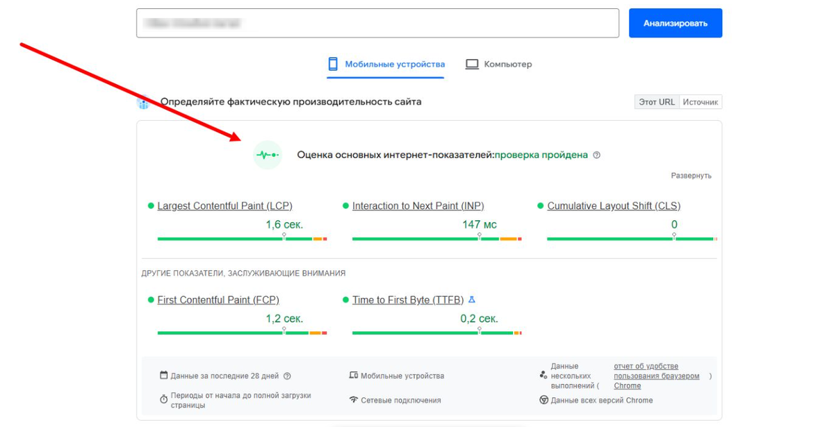 Пример пройденного текста в Google Page Speed
