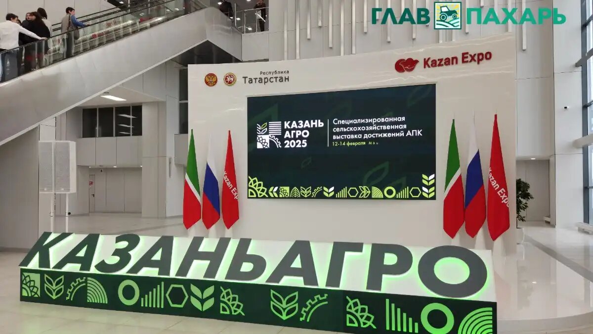 Фото: © Николай Гуцаленко / Glavpahar.ru
Выставка «Казань Агро 2025» в Татарстане: итоги мероприятия