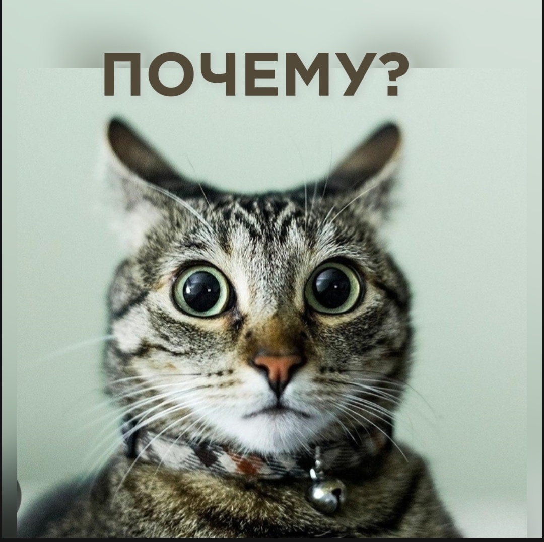 Почему качественные услуги или контент не находят отклика? 