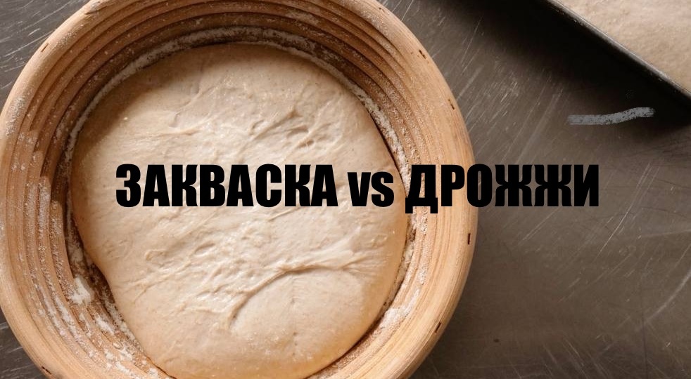 Ржаная закваска: миф или лучшая замена дрожжам?Почему пекари всего мира переходят на закваску и как ее вывести в домашних условиях?