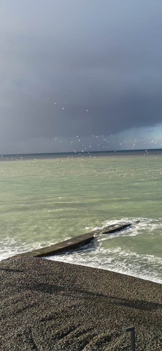 Вид из номера делюкс отеля "Каскад" Адлер