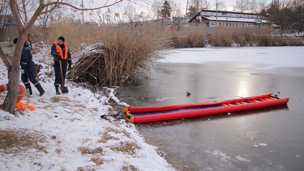    Фото: Алексей Попов