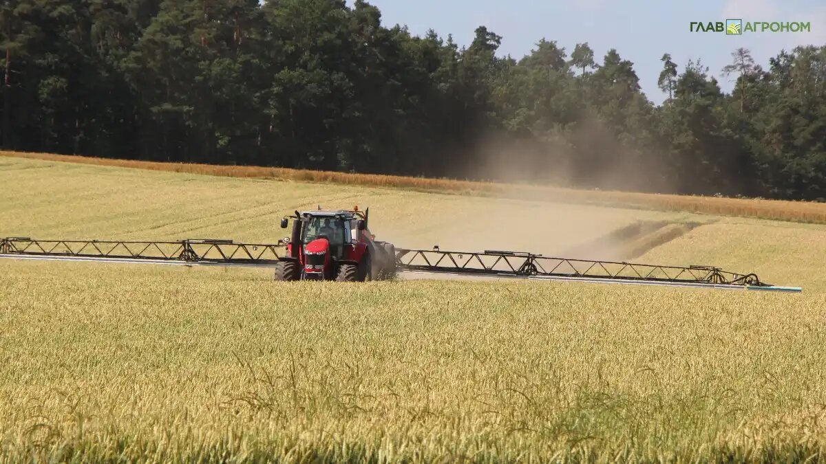 Фото:© Владимир Исаенко / Glavagronom.ru
Эксперт считает, что производители пестицидов западных стран упустили возможности по выпуску сырья для производства современных СЗР