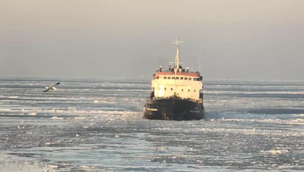     Источник: Южная транспортная прокуратура