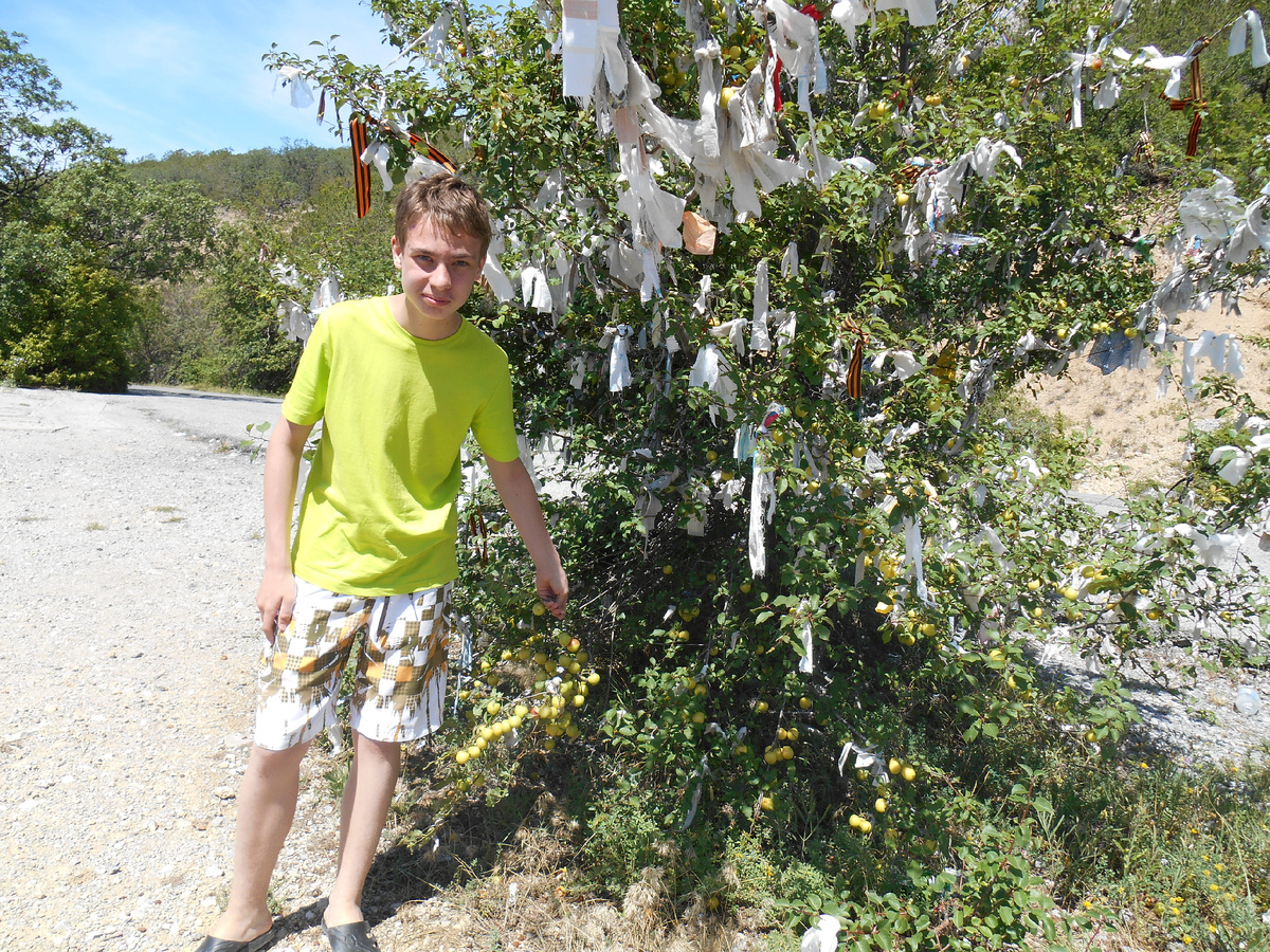 2014 год. Сейчас я уже знаю, что это дерево желаний. Любой путник может остановиться у такого дерева, повязать ленточку и загадать желание. Обратите внимание, среди ленточек есть и георгиевские.