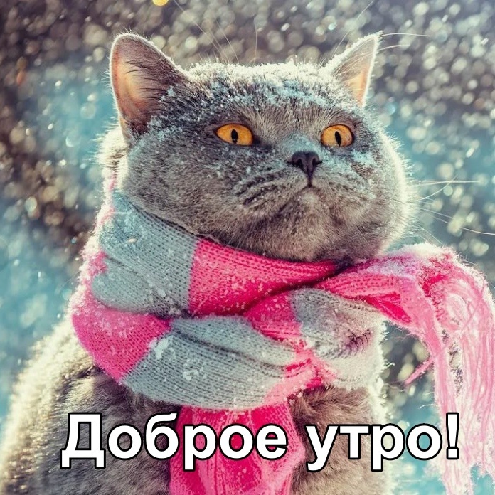 Фото из сети Интернет