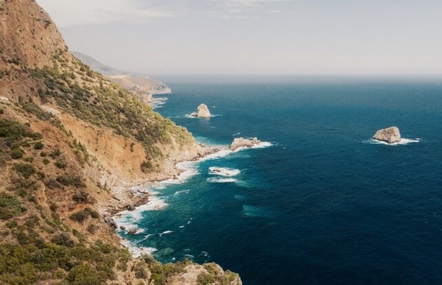    ru.freepik.com Софья Метелёва