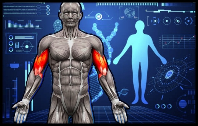 Источник: www.istockphoto.com Источник: www.istockphoto.com