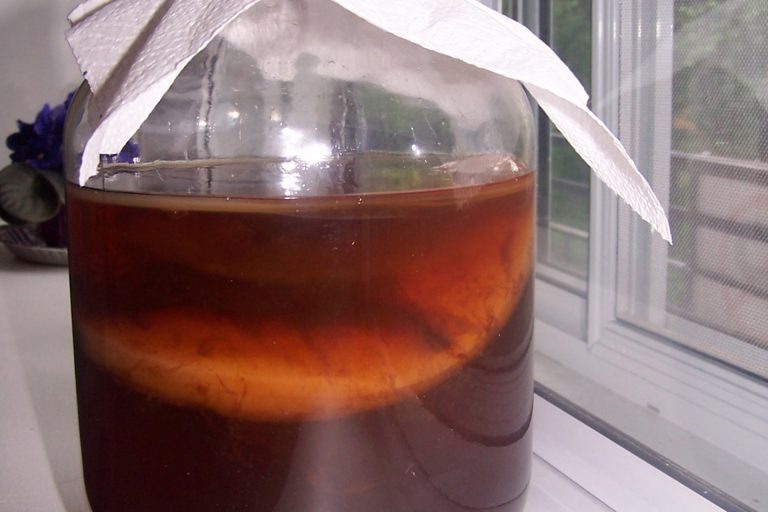    Фото: Commons.wikimedia.org / Romarin Игорь Бережной