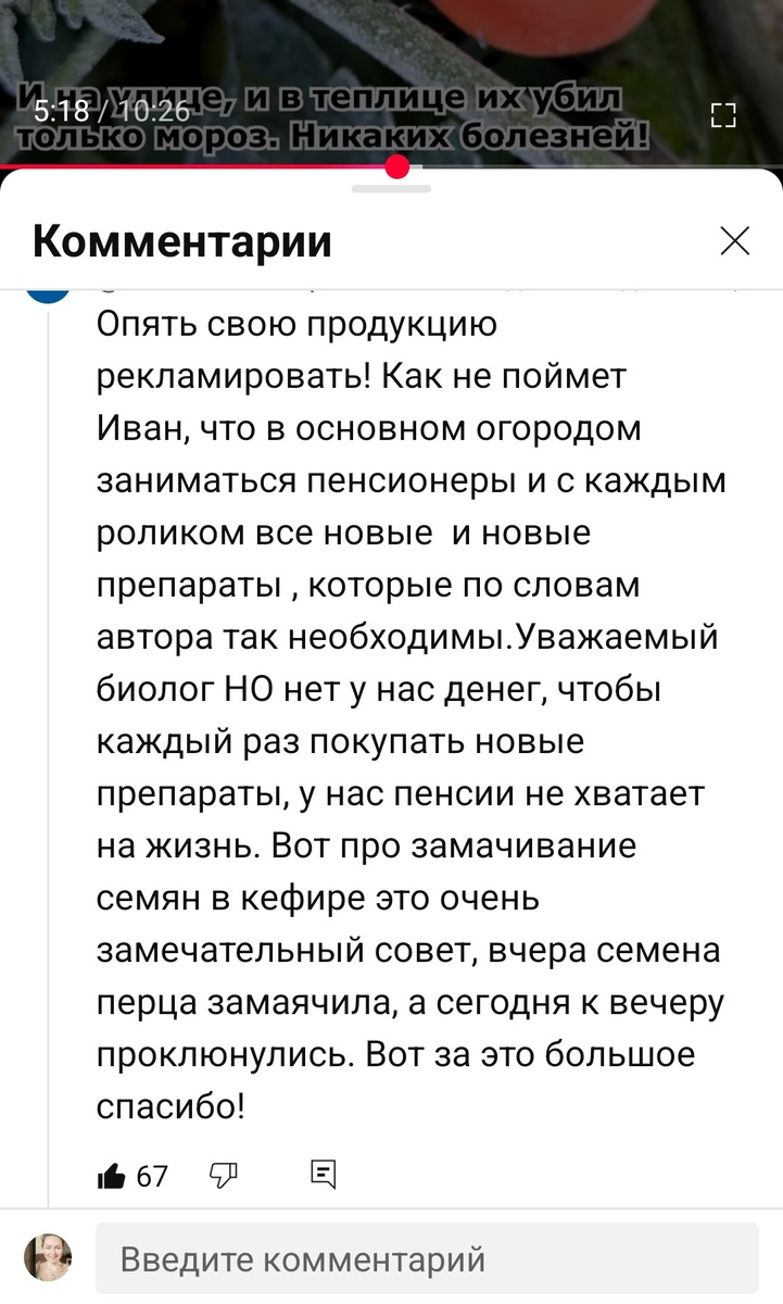 Скриншот комментария с Ютуба