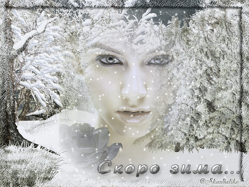 Из открытых источников