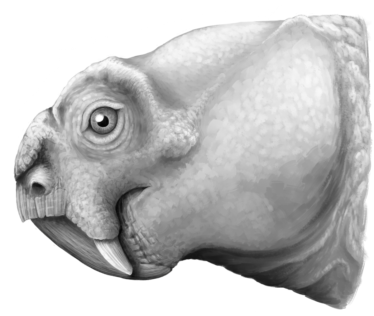 Репелинозавр. Реставрация.