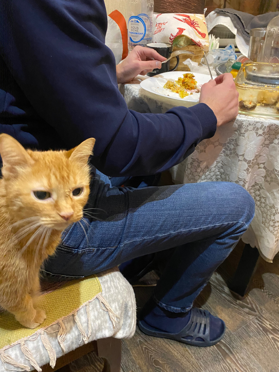 Очень кушать хочется!