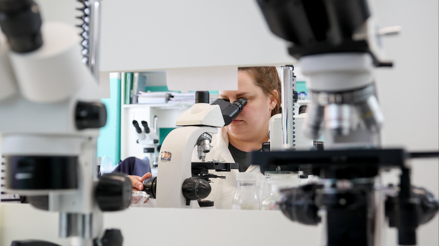    Фото: Донат Сорокин/ТАСС; 5-tv.ru