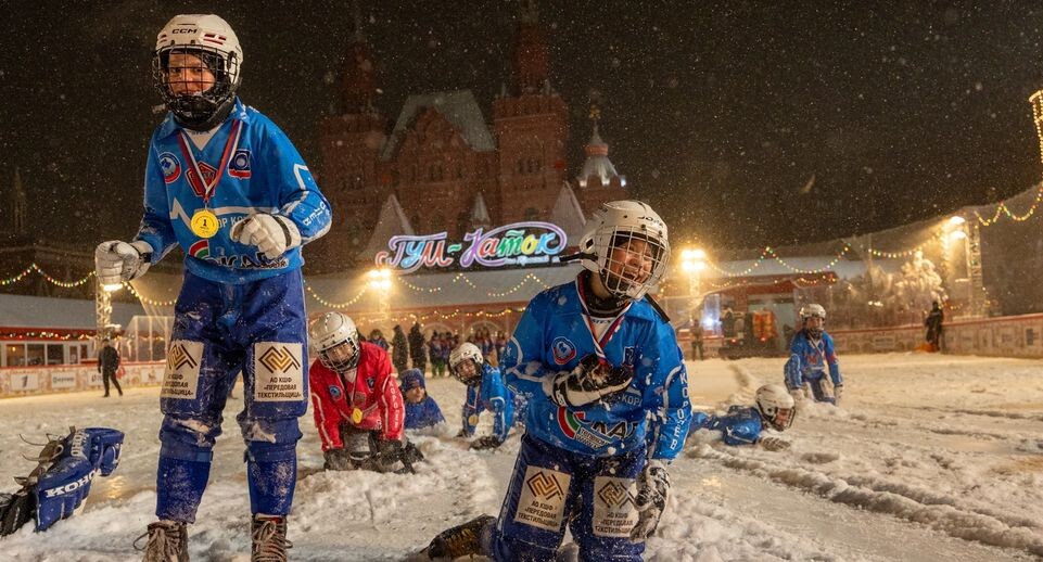    Федерация хоккея с мячом России