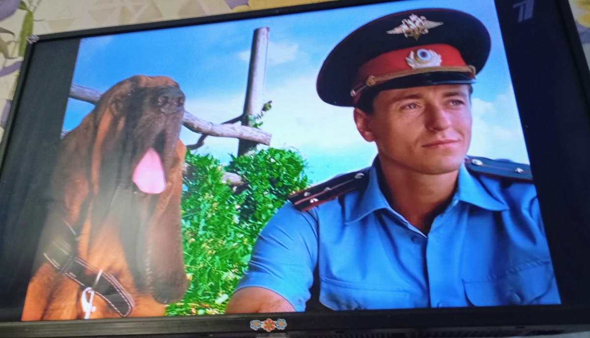 Просто кадр из сериала😊