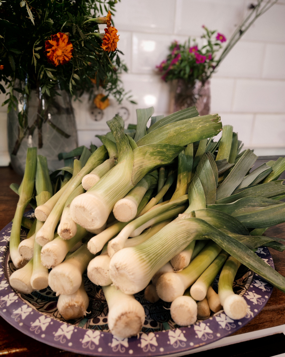 Лук-порей наш любимый овощ 