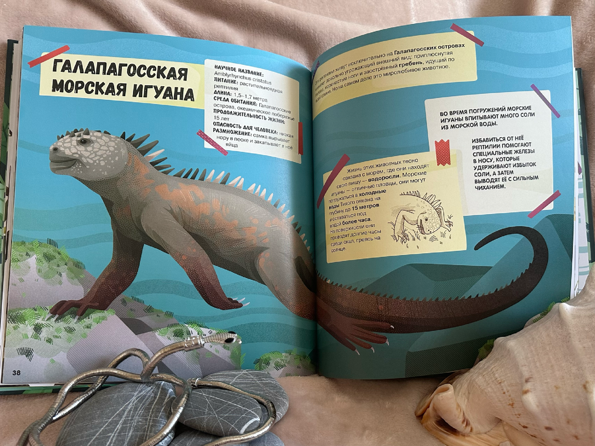 Художнику удалось поймать движения и характер рептилий 