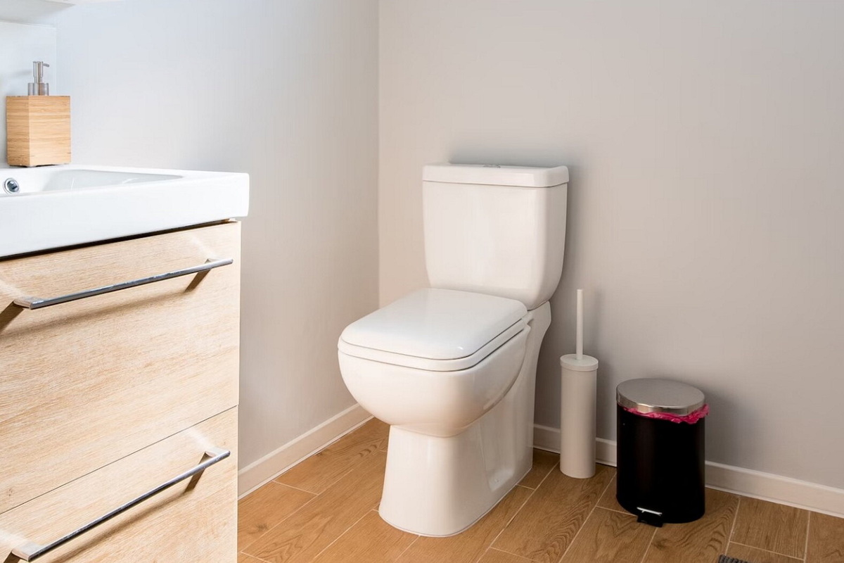     Прослужит дольше: как правильно чистить туалетный ёршик