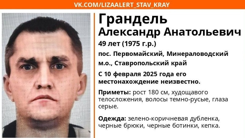      Фото: ПСО «ЛизаАлерт»