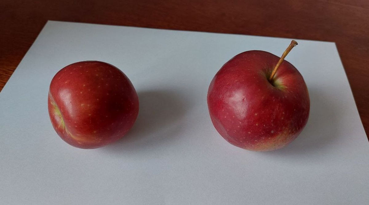 Моя натура из видео