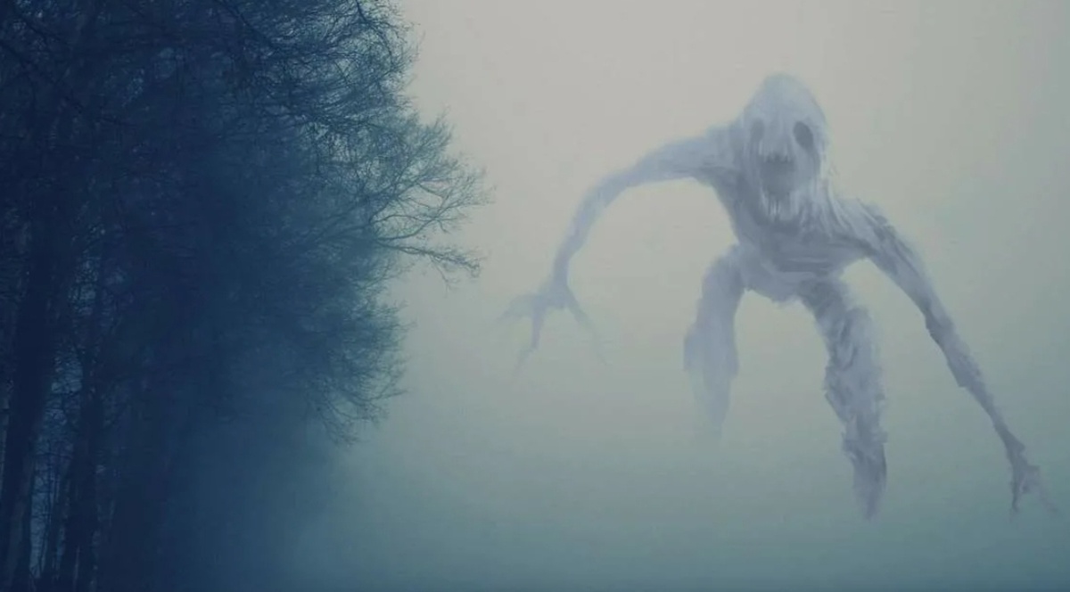 Фото из интернета